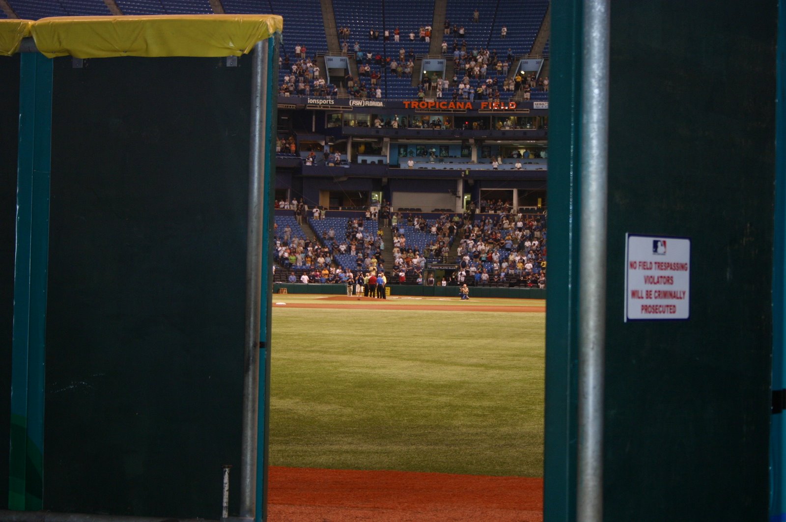 Tropicana Field trop5